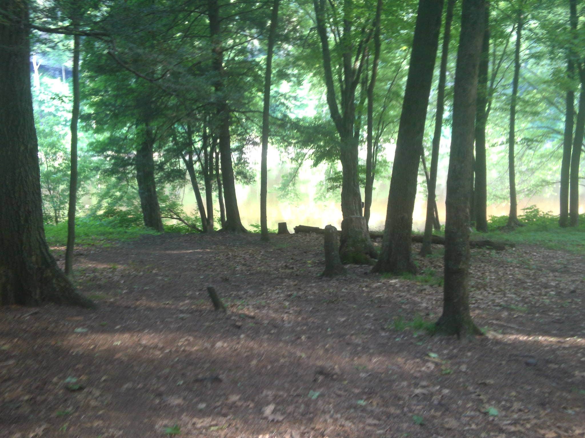 Camper submitted image from Sandyston Boat In Campsites — Delaware Water Gap National Recreation Area - 2
