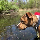 Review photo of Kickapoo State Recreation Area by Josh M., May 27, 2019