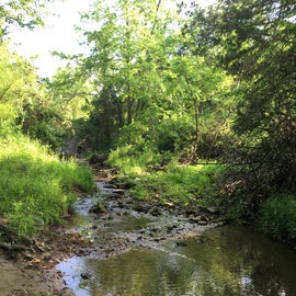 The Creek