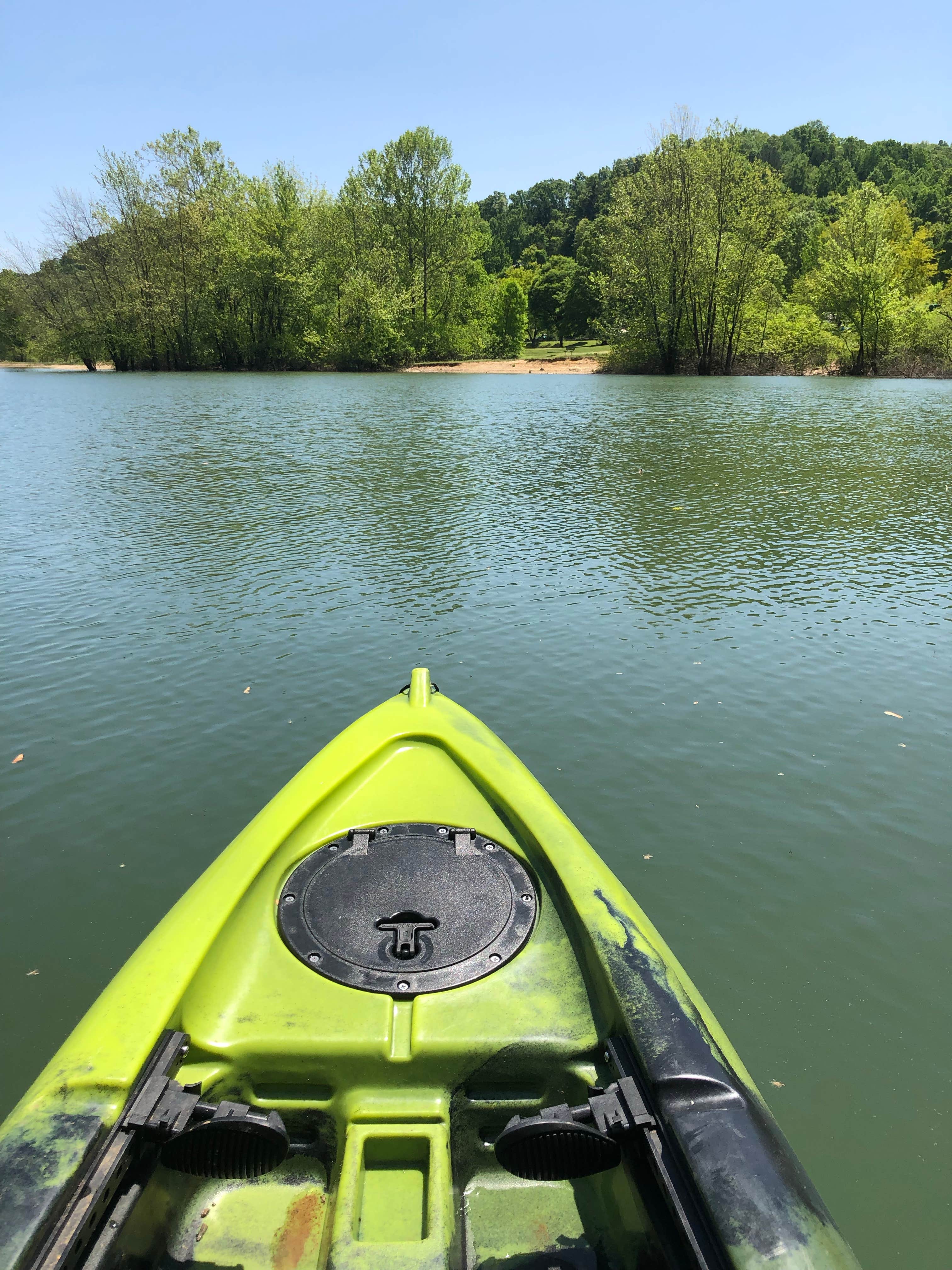 Camper submitted image from Yough Lake Campground at Tub Run - 5