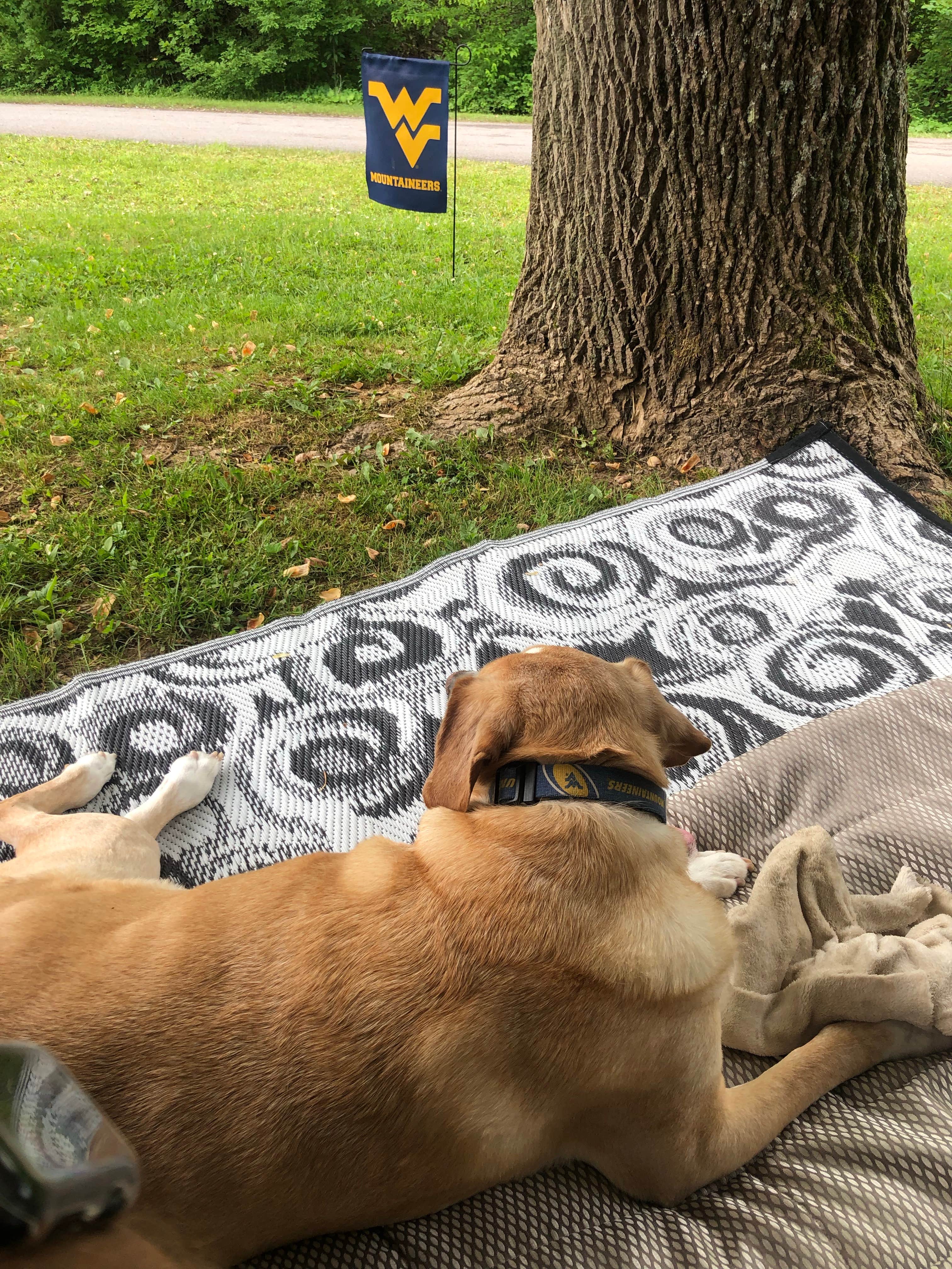 Camper-submitted photo at Yough Lake Campground at Tub Run near Grantsville, MD