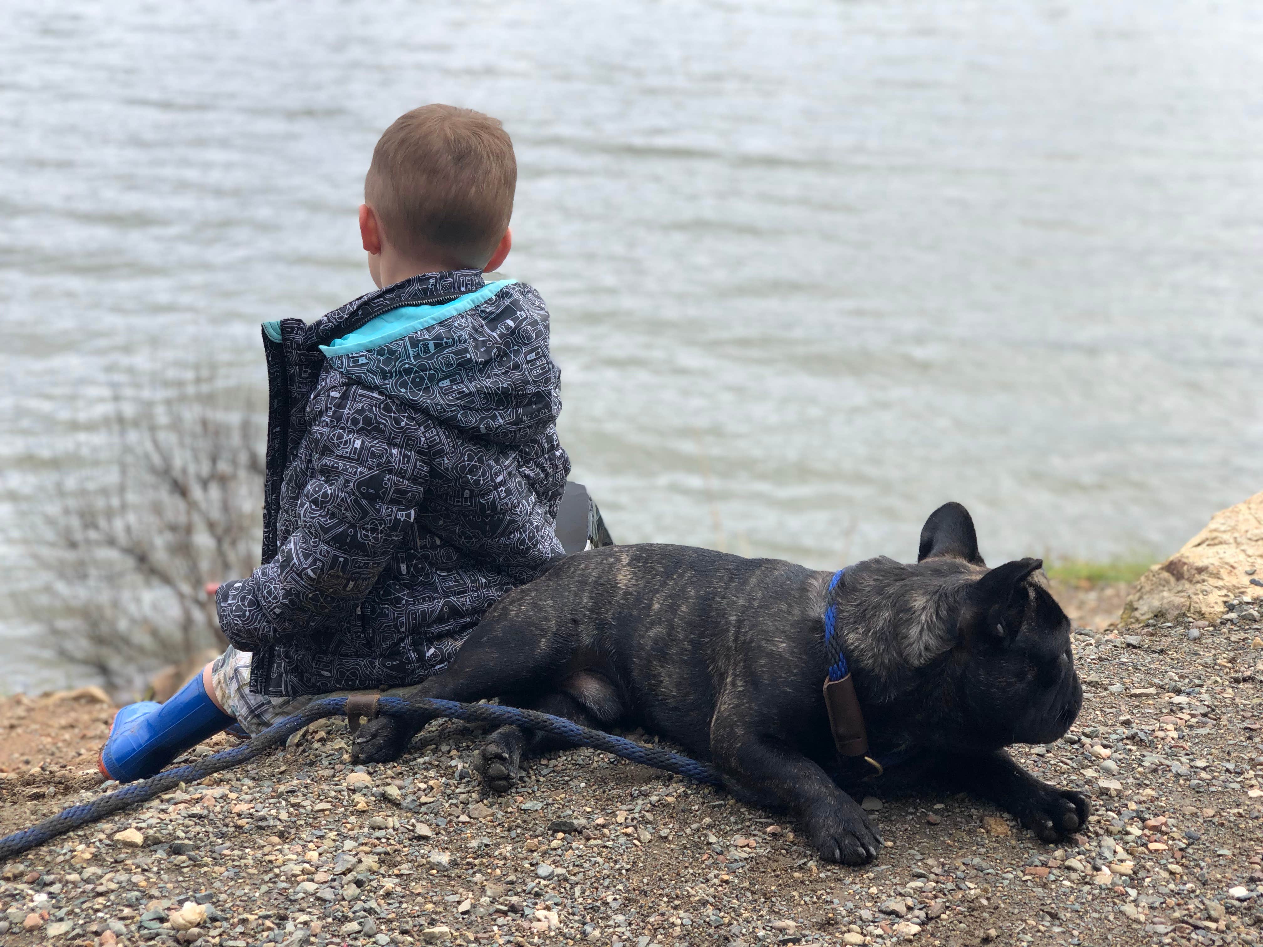 Kimberlee M.'s photo of camping with pets at Collins Lake Recreation Area near Chico, CA