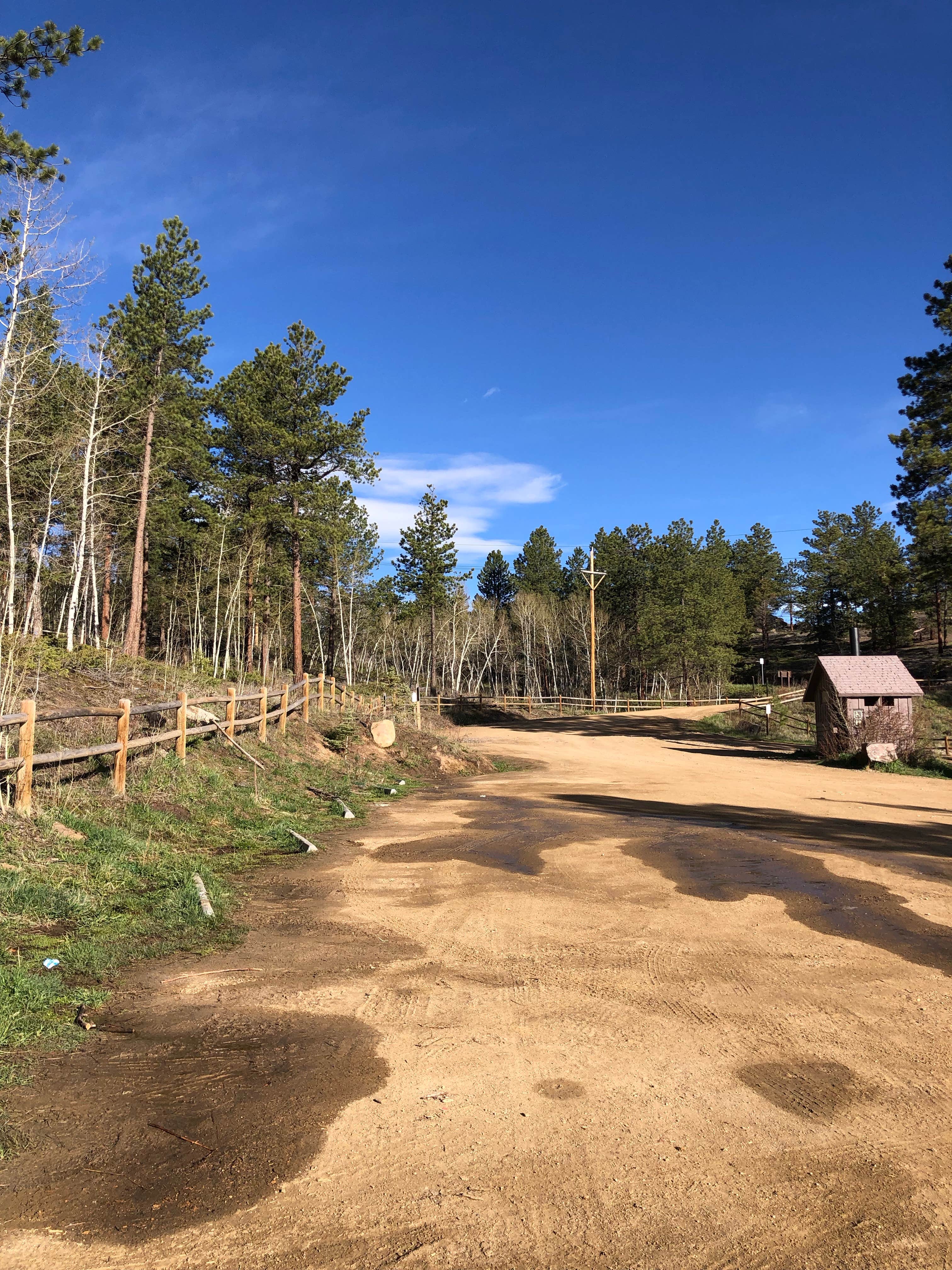 Camper submitted image from Forsythe Canyon Trailhead Forest Service Road 357 Dispersed — Golden Gate Canyon - 2