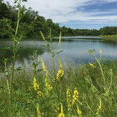 Review photo of Finger Lakes State Park Campground by Annie C., May 27, 2019