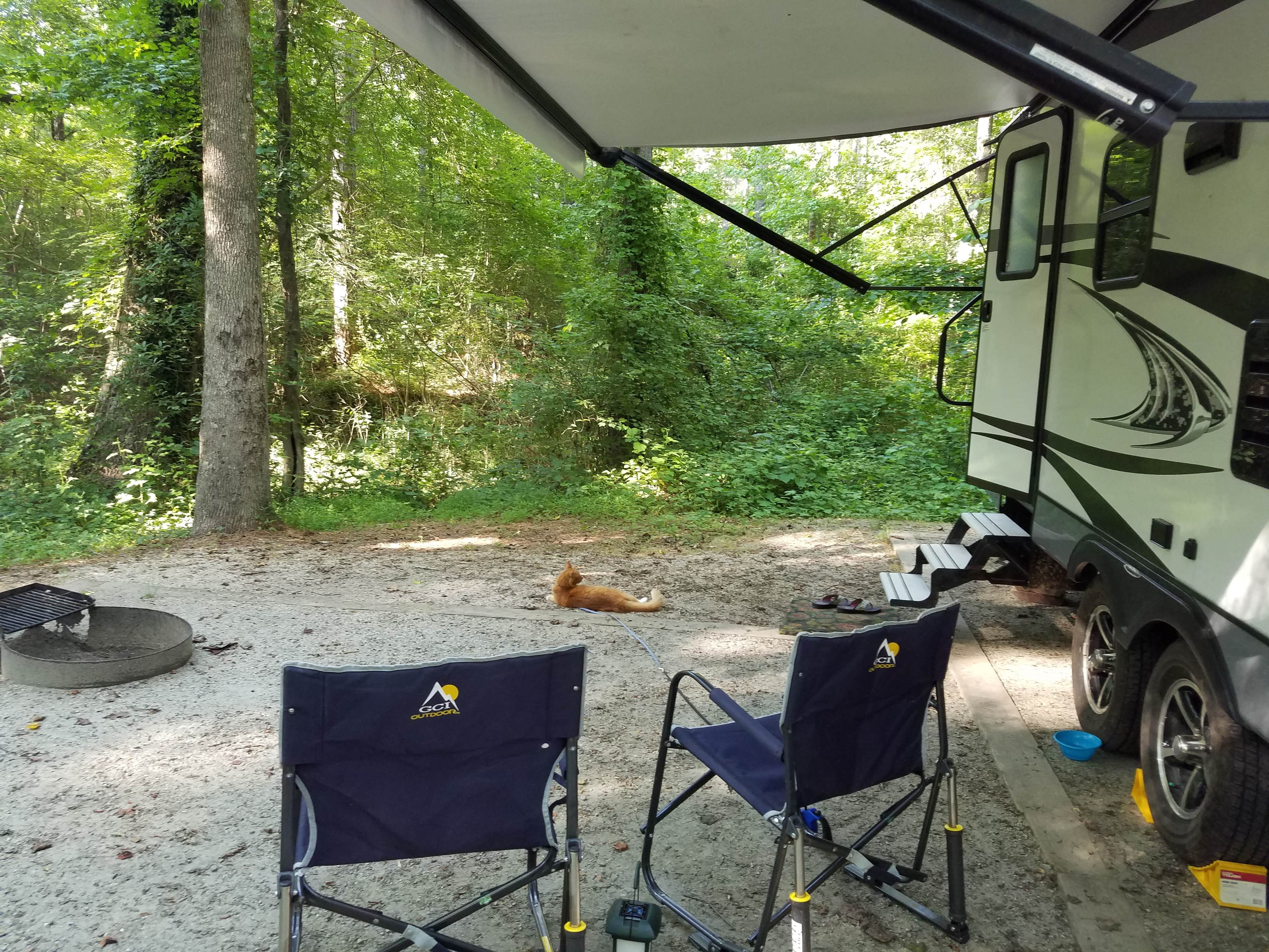 Cat R.'s photo at Fort Yargo State Park Campground near Duluth, GA