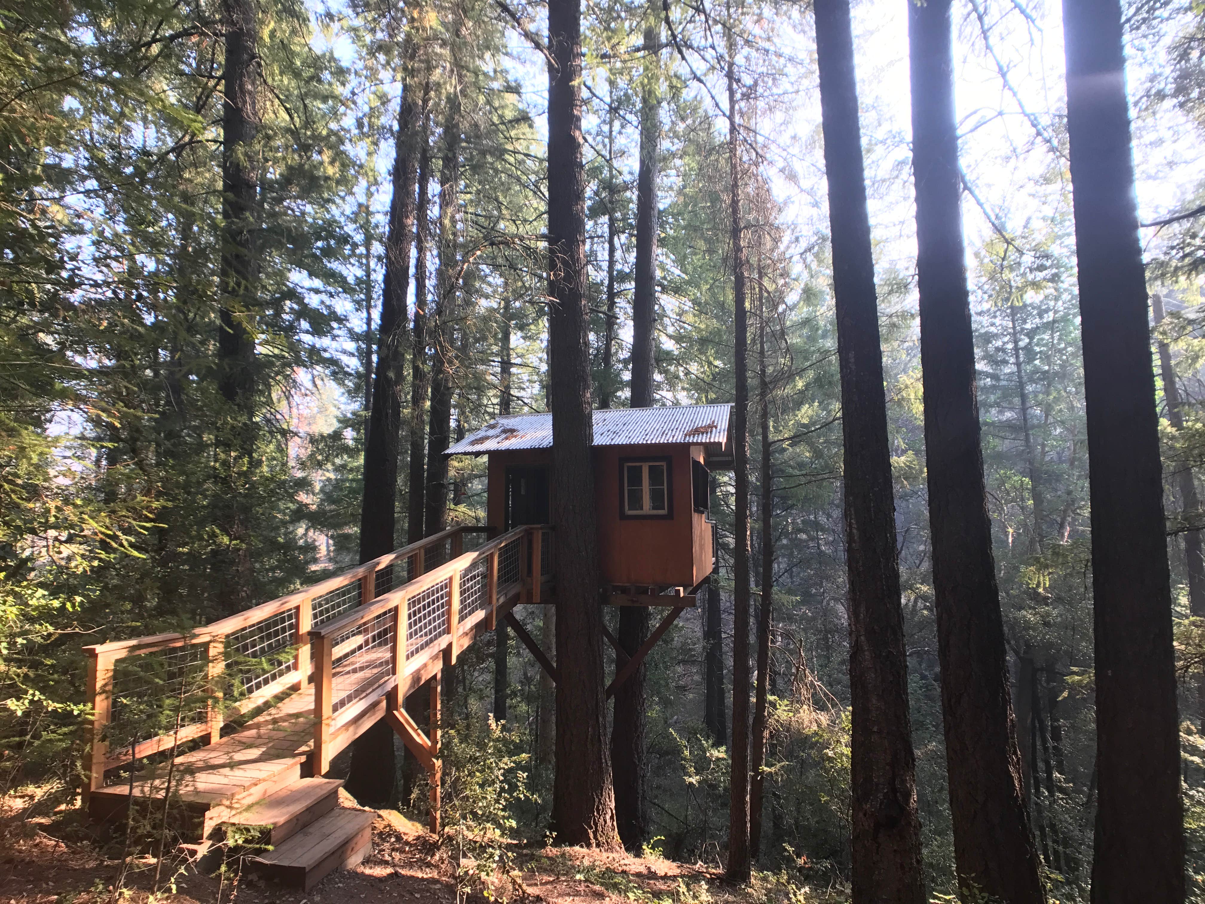 Joe S.'s photo of a cabin at Pine Grove Cobb Resort near Geyserville, CA