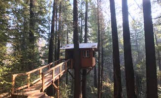 Joe S.'s photo of a cabin at Pine Grove Cobb Resort near Petaluma, CA