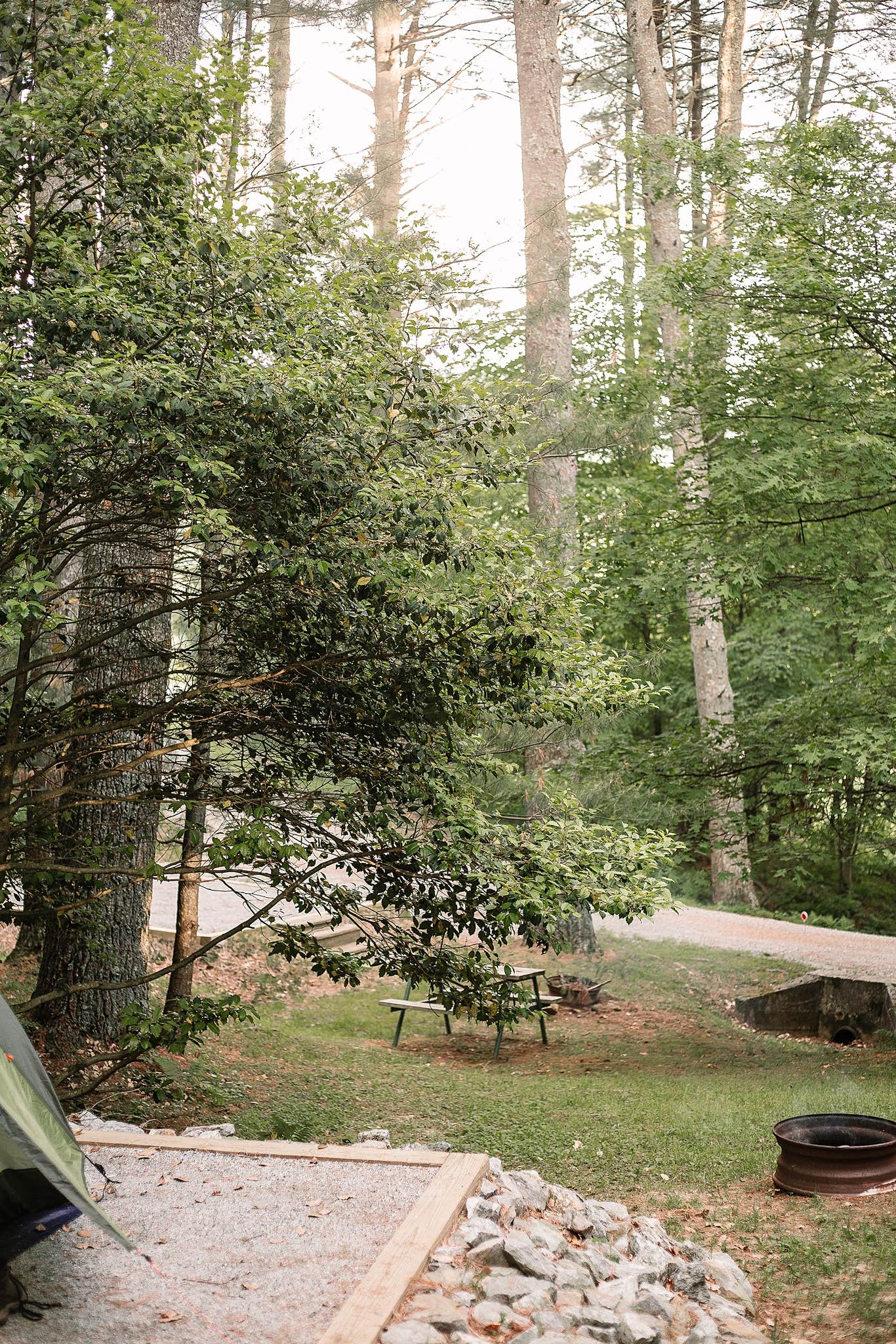 Sean R.'s photo at Millers Camping near Wilkesboro, NC