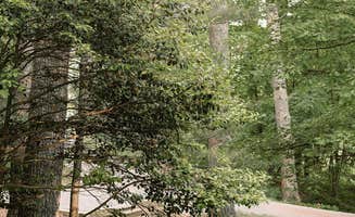 Sean R.'s photo at Millers Camping near Traphill, NC