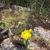 Review photo of Hill Country State Natural Area by Megan  E., May 28, 2019