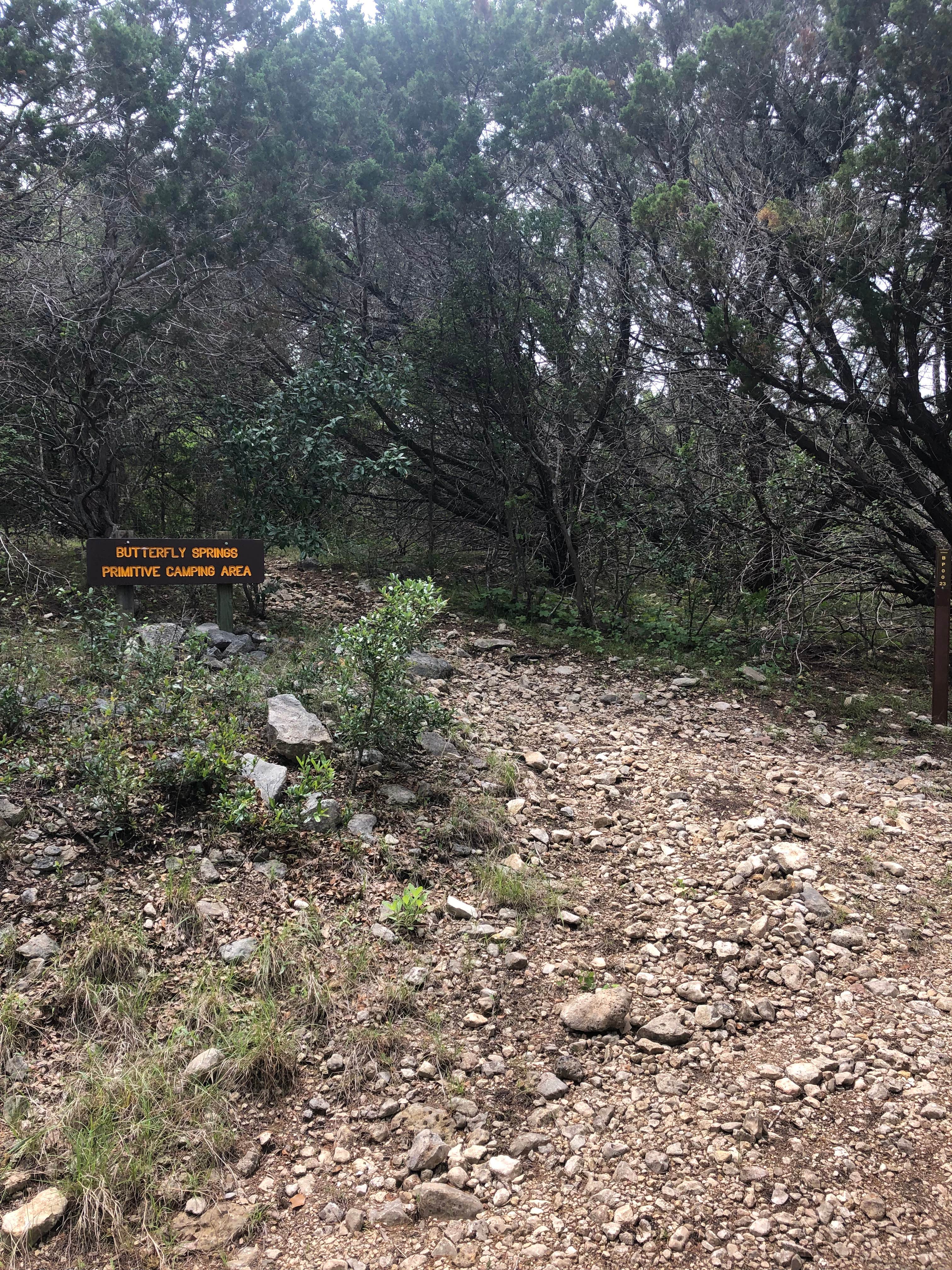 Camper-submitted photo at Hill Country State Natural Area near Comfort, TX
