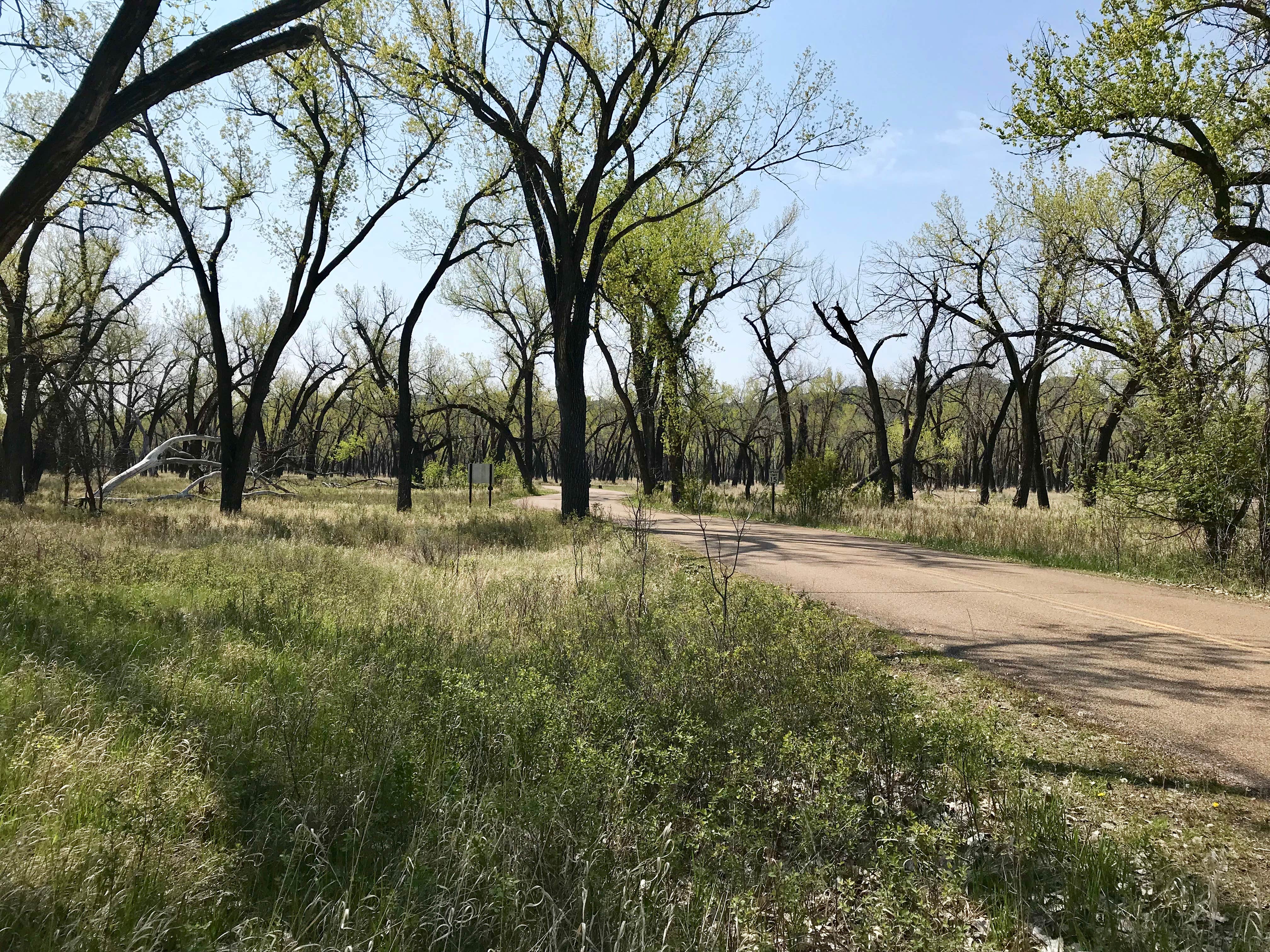 Camper-submitted photo at Juniper Campground — Theodore Roosevelt National Park in North Dakota
