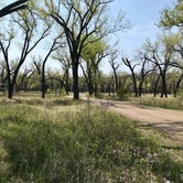 Review photo of Juniper Campground — Theodore Roosevelt National Park by Jillian C., May 28, 2019