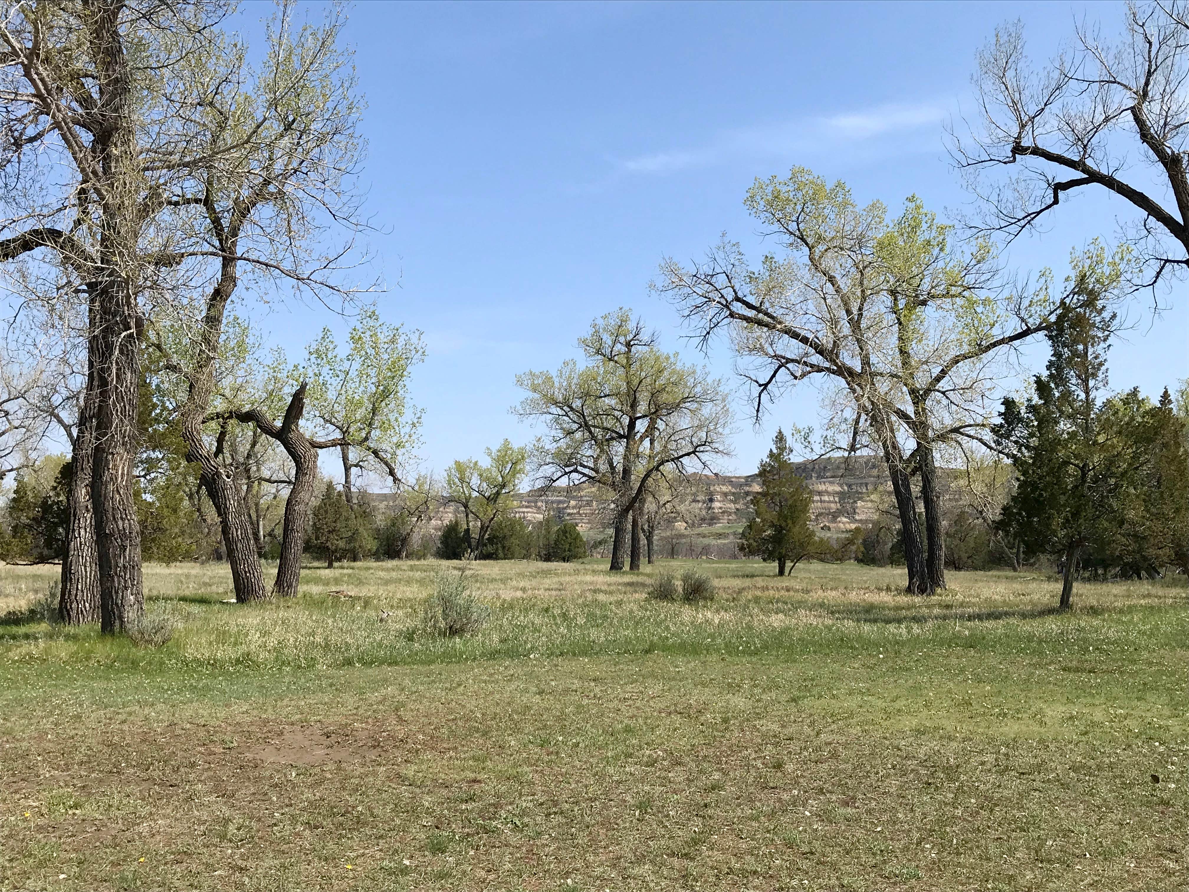 Camper-submitted photo at Juniper Campground — Theodore Roosevelt National Park in North Dakota