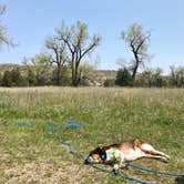 Review photo of Juniper Campground — Theodore Roosevelt National Park by Jillian C., May 28, 2019