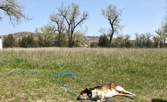 Jillian C.'s photo of camping with pets at Juniper Campground — Theodore Roosevelt National Park near Theodore Roosevelt National Park