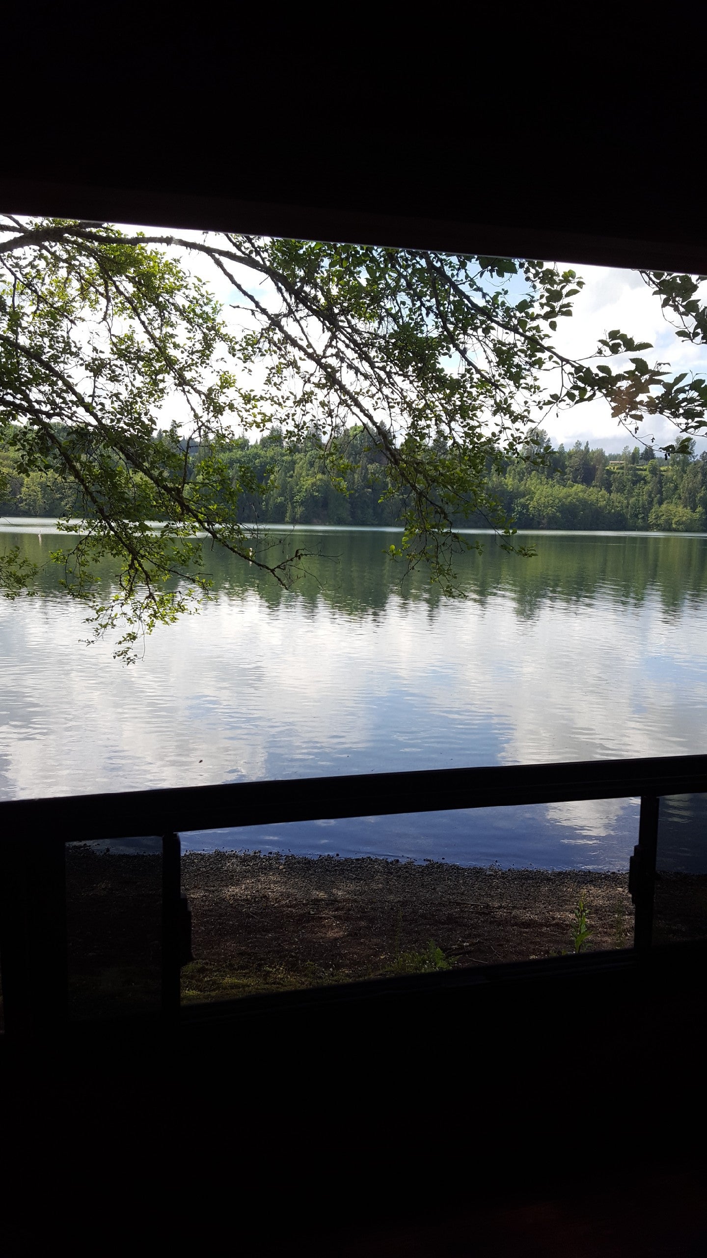 Camper submitted image from Mayfield Lake Park - 3