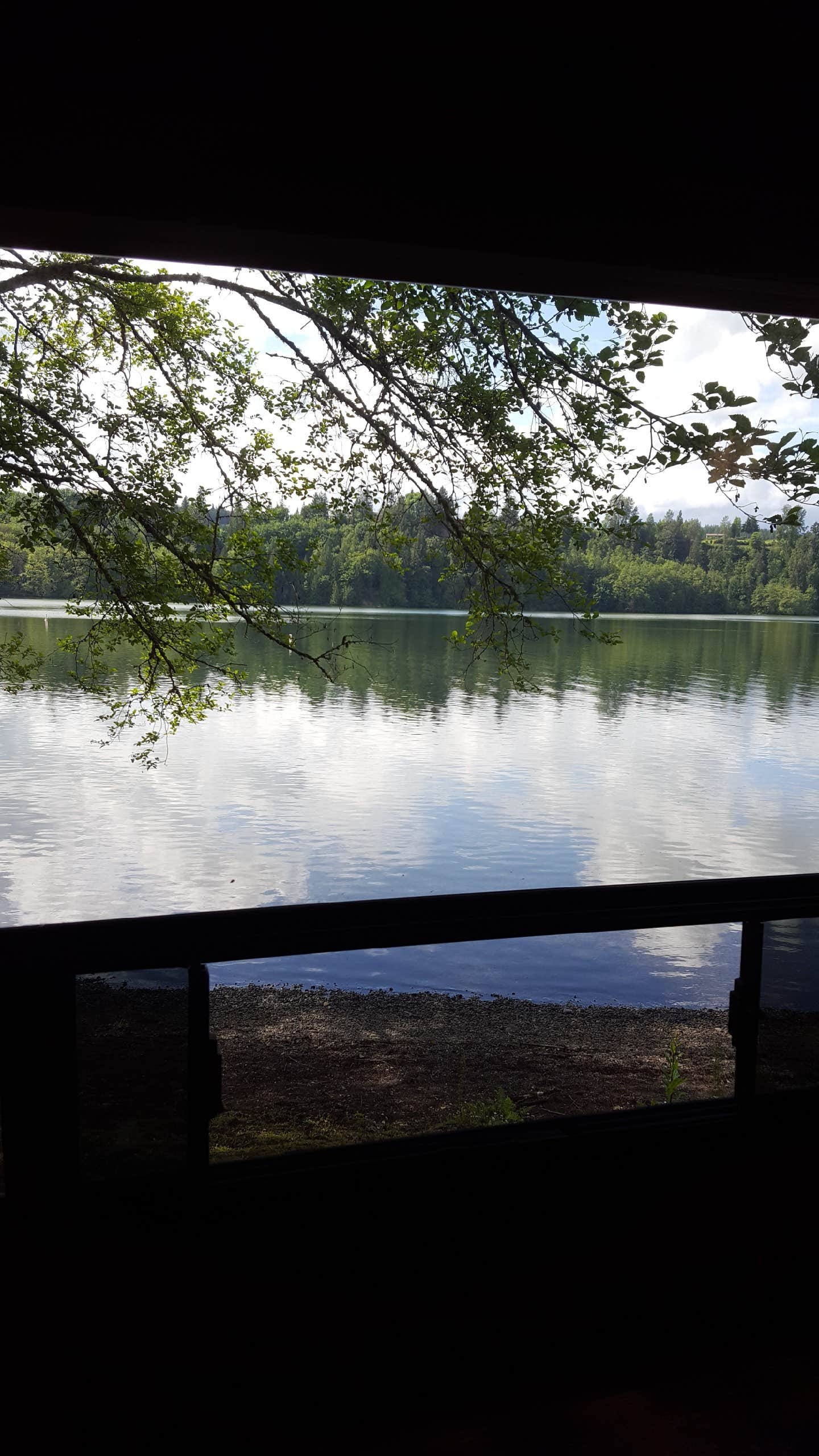 Camper submitted image from Mayfield Lake Park - 3