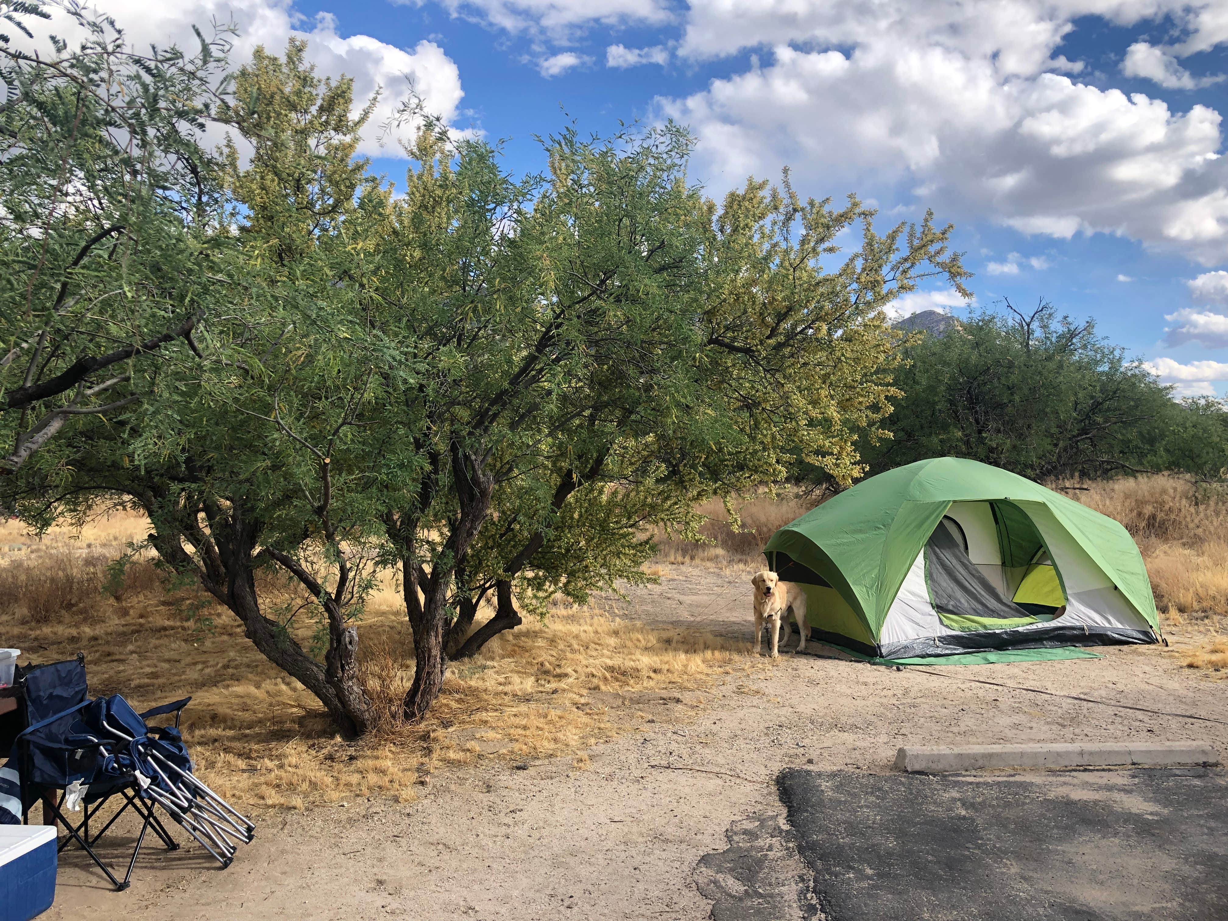 Austin C.'s photo at Catalina State Park Campground near Tucson, AZ