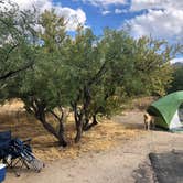 Review photo of Catalina State Park Campground by Austin C., May 28, 2019