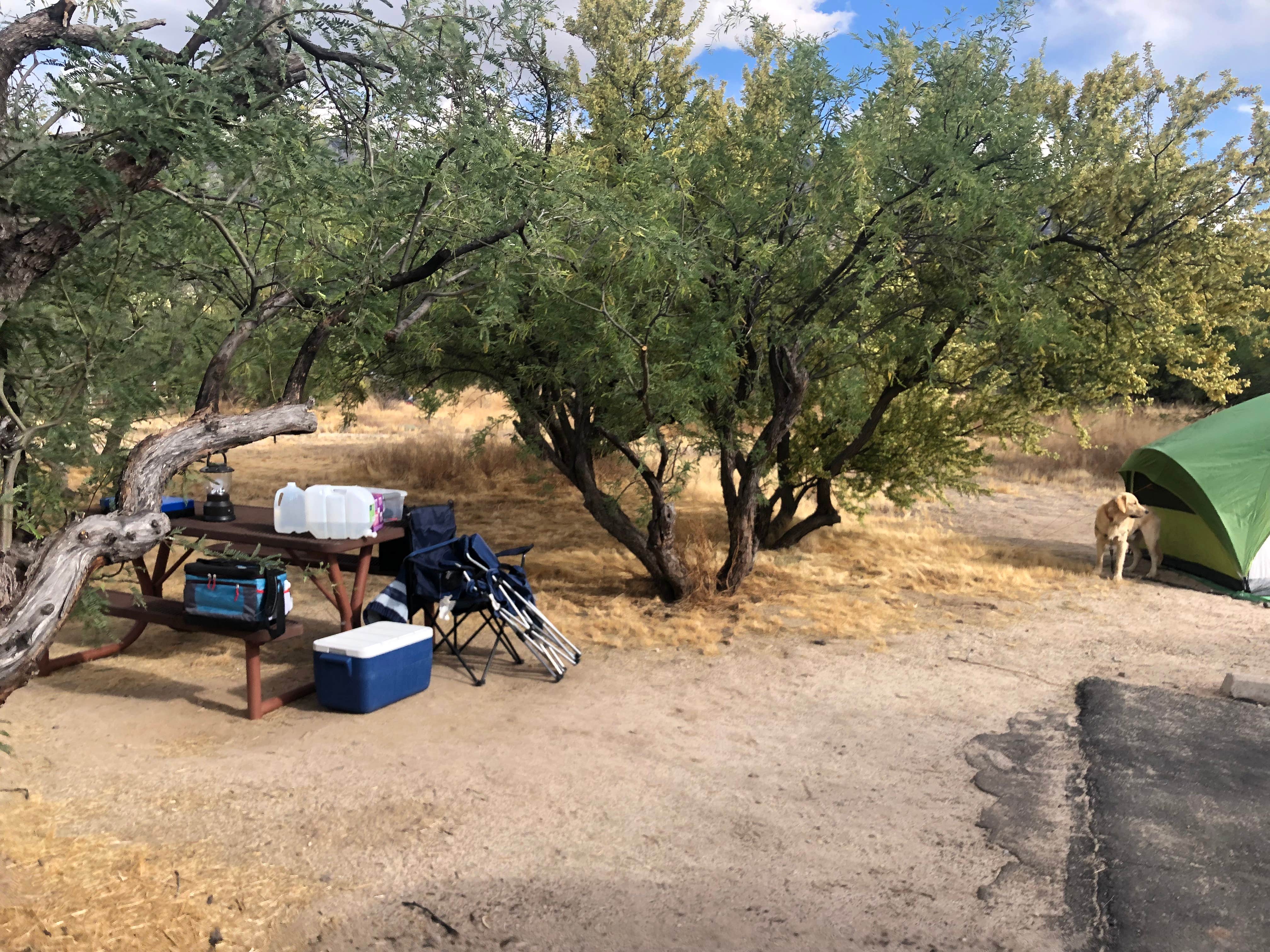 Austin C.'s photo at Catalina State Park Campground near Tucson, AZ