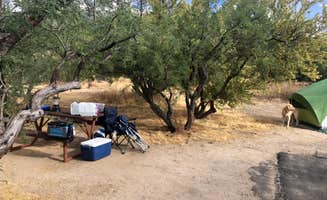 Austin C.'s photo at Catalina State Park Campground near Tucson, AZ