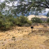 Review photo of Catalina State Park Campground by Austin C., May 28, 2019