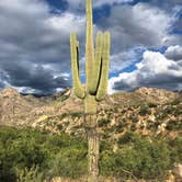 Review photo of Catalina State Park Campground by Austin C., May 28, 2019
