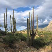 Review photo of Catalina State Park Campground by Austin C., May 28, 2019