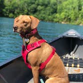 Review photo of Devils Fork State Park Campground by Julie C., May 28, 2019