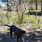 Review photo of Buckeye Campground by Melissa K., May 28, 2019