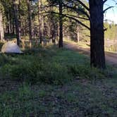 Review photo of Buckeye Campground by Melissa K., May 28, 2019