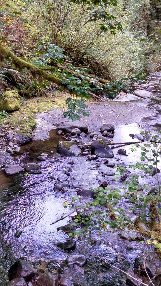 Camper-submitted photo at Waterloo County Park near Foster, OR