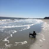 Review photo of Hunting Island State Park Campground by Shelly S., June 30, 2016