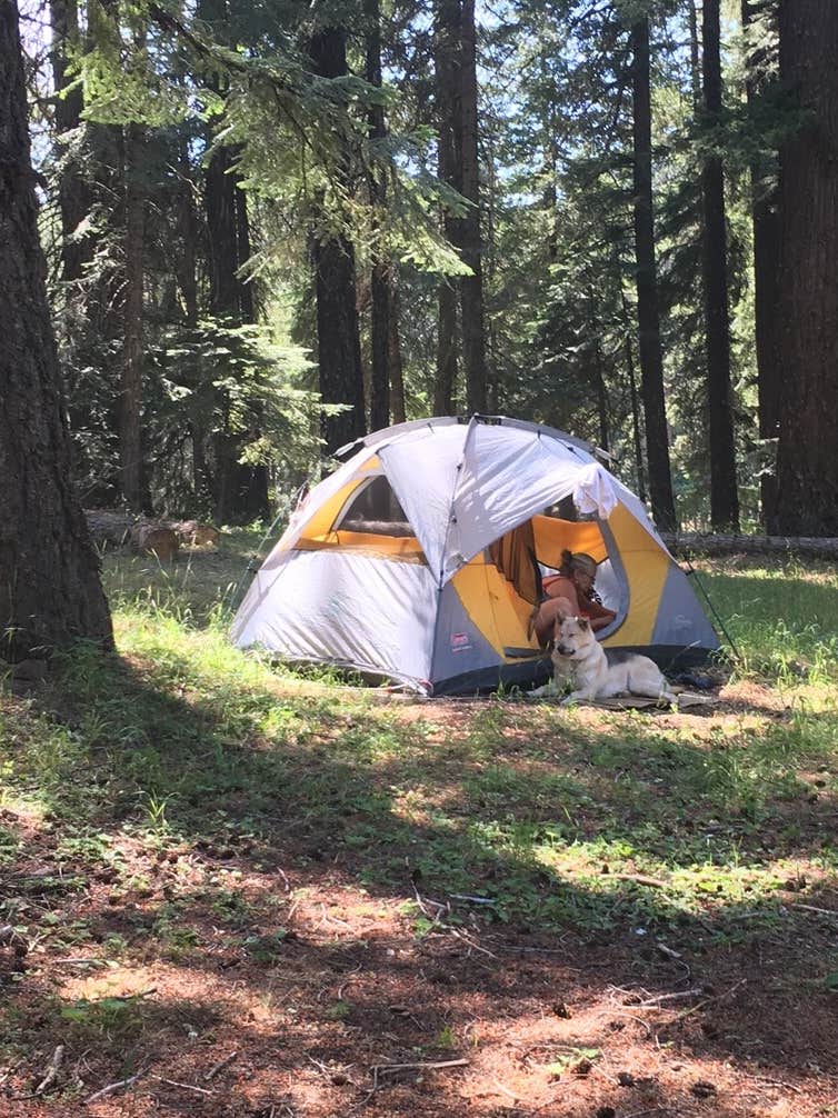 Larry  L.'s photo at Jackson County Howard Prairie Lake Resort near Dorris, CA