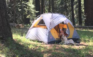 Larry L.'s photo at Jackson County Howard Prairie Lake Resort near Ashland, OR