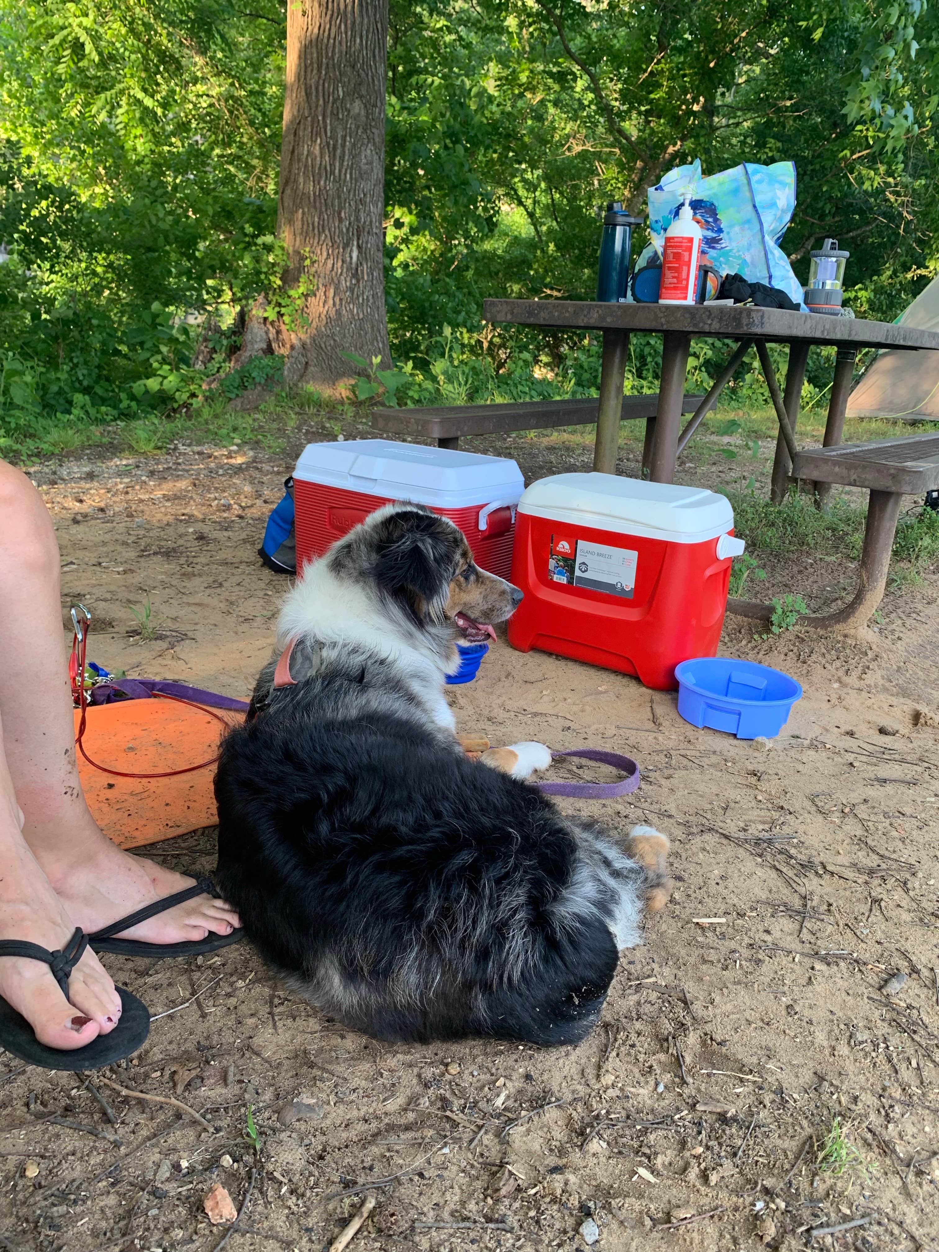 Samantha W.'s photo at Ozark Campground — Buffalo National River near Harrison, AR