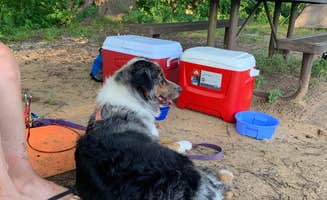 Samantha W.'s photo at Ozark Campground — Buffalo National River near Harrison, AR