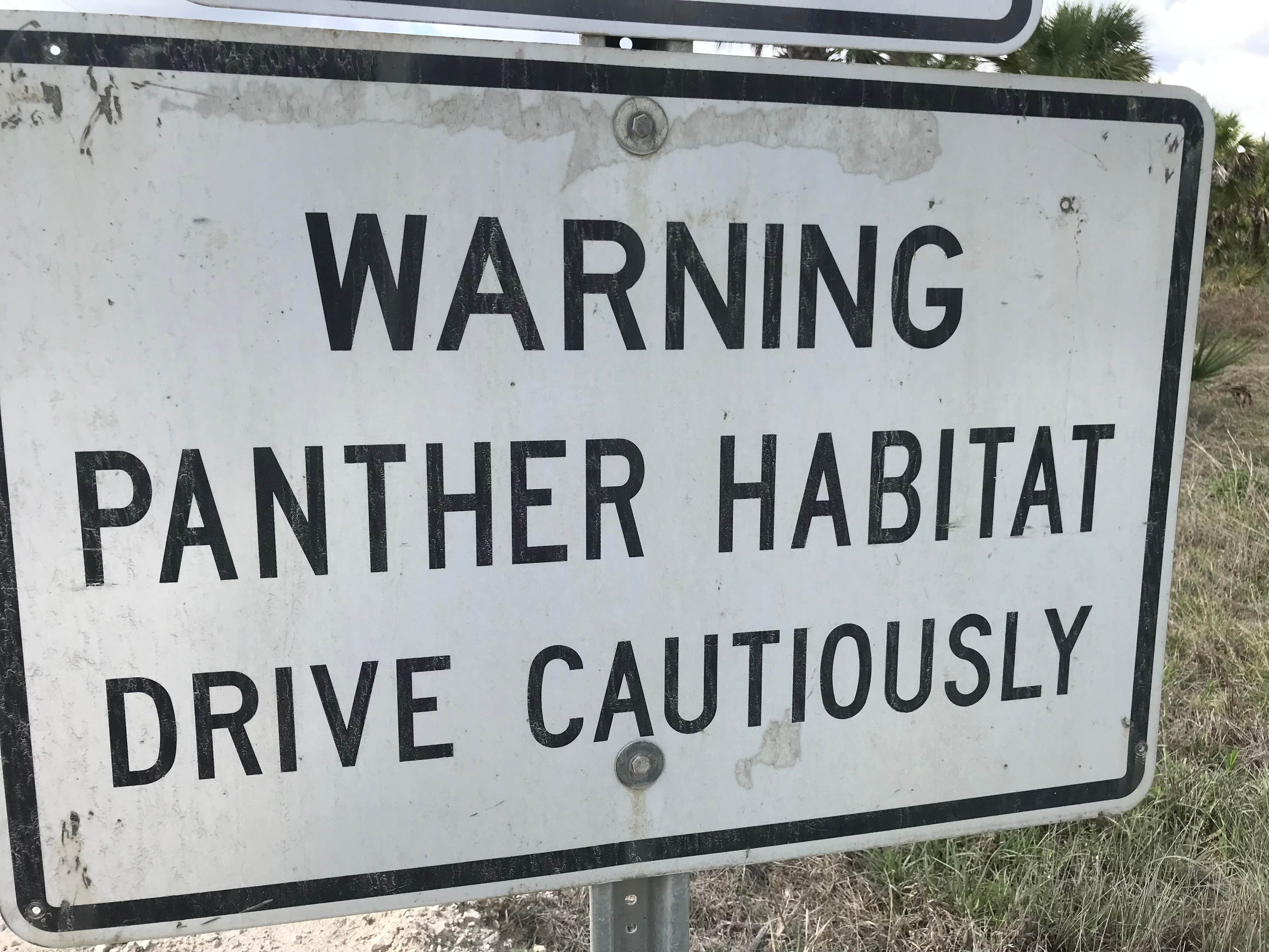 Camper-submitted photo at Horseshoe Primitive Campground in Picayune Strand State Forest near Everglades City, FL