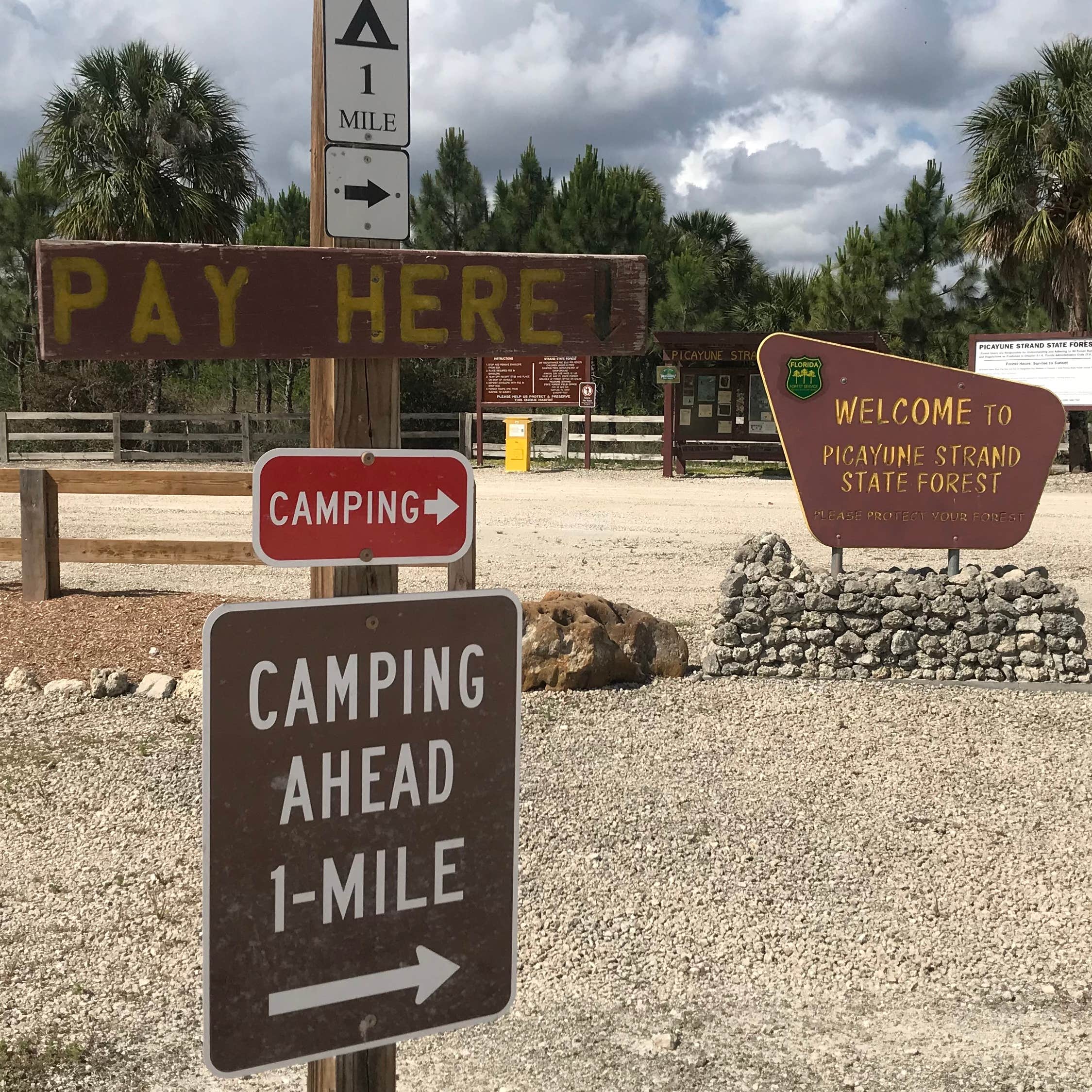 zondaar Haiku Eerder Horseshoe Primitive Campground in Picayune Strand State Forest Camping |  The Dyrt