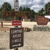 Review photo of Horseshoe Primitive Campground in Picayune Strand State Forest by Dave V., May 28, 2019