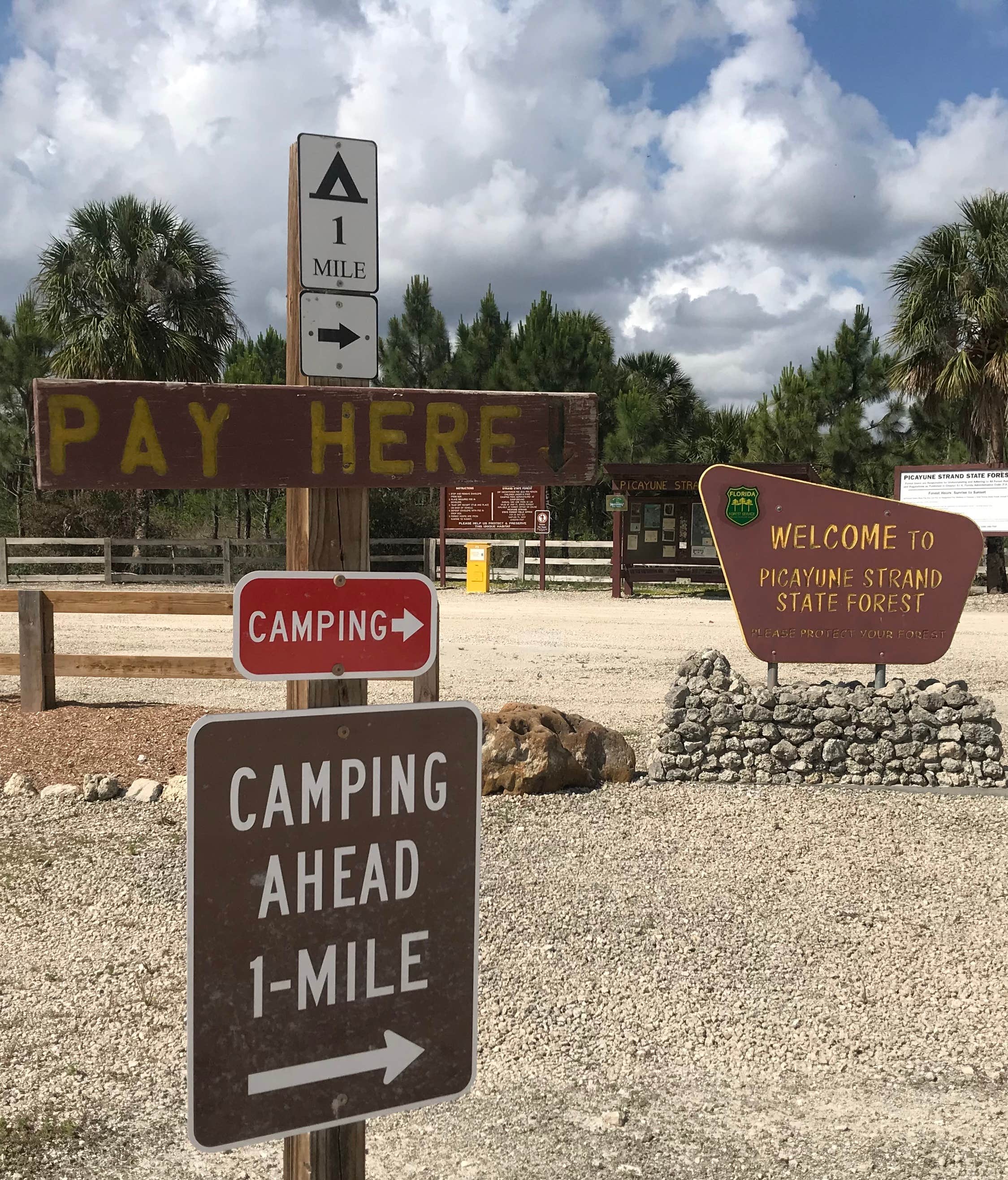 Camper submitted image from Horseshoe Primitive Campground in Picayune Strand State Forest - 5