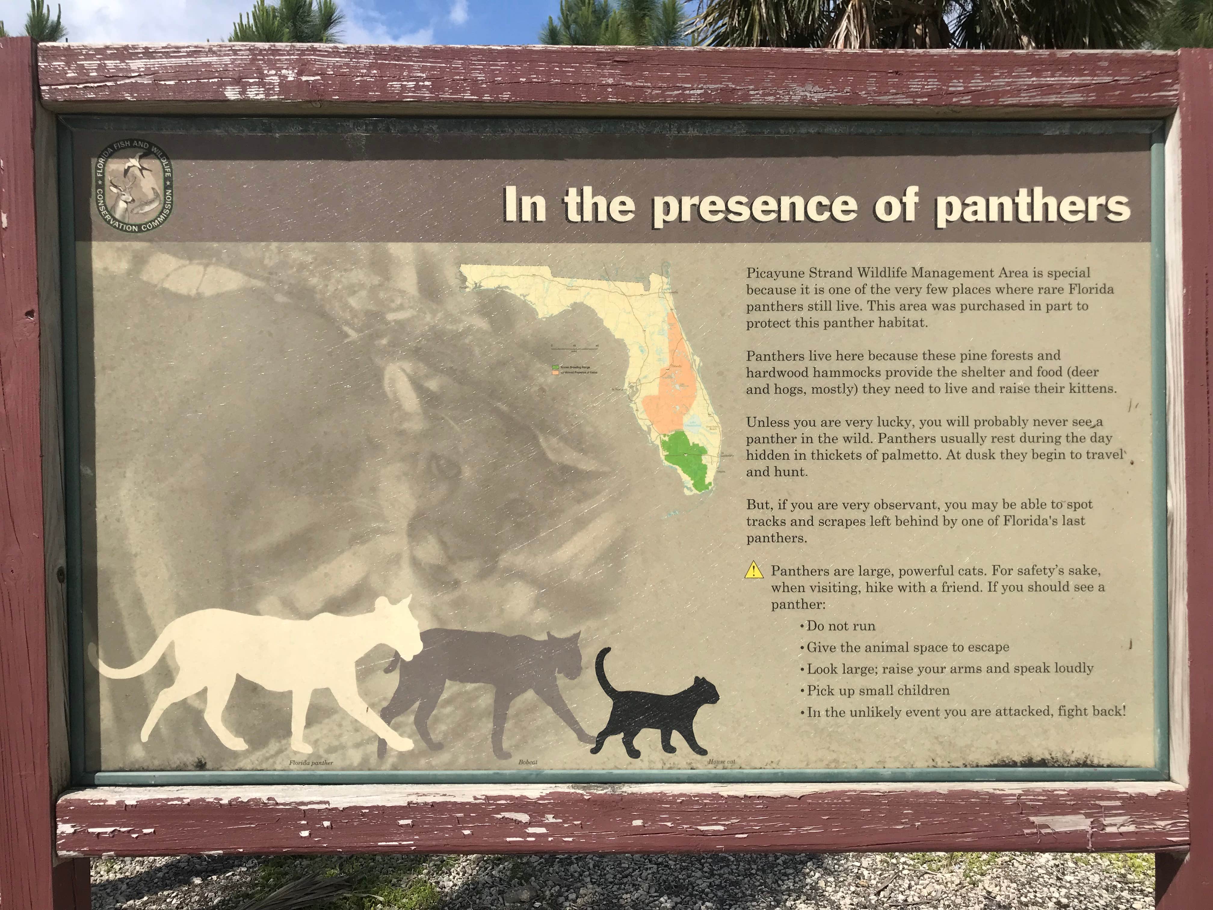 Dave V.'s photo of camping with a horse at Horseshoe Primitive Campground in Picayune Strand State Forest near Naples, FL