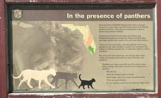 Dave V.'s photo of camping with a horse at Horseshoe Primitive Campground in Picayune Strand State Forest in Florida