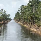 Review photo of Horseshoe Primitive Campground in Picayune Strand State Forest by Dave V., May 28, 2019