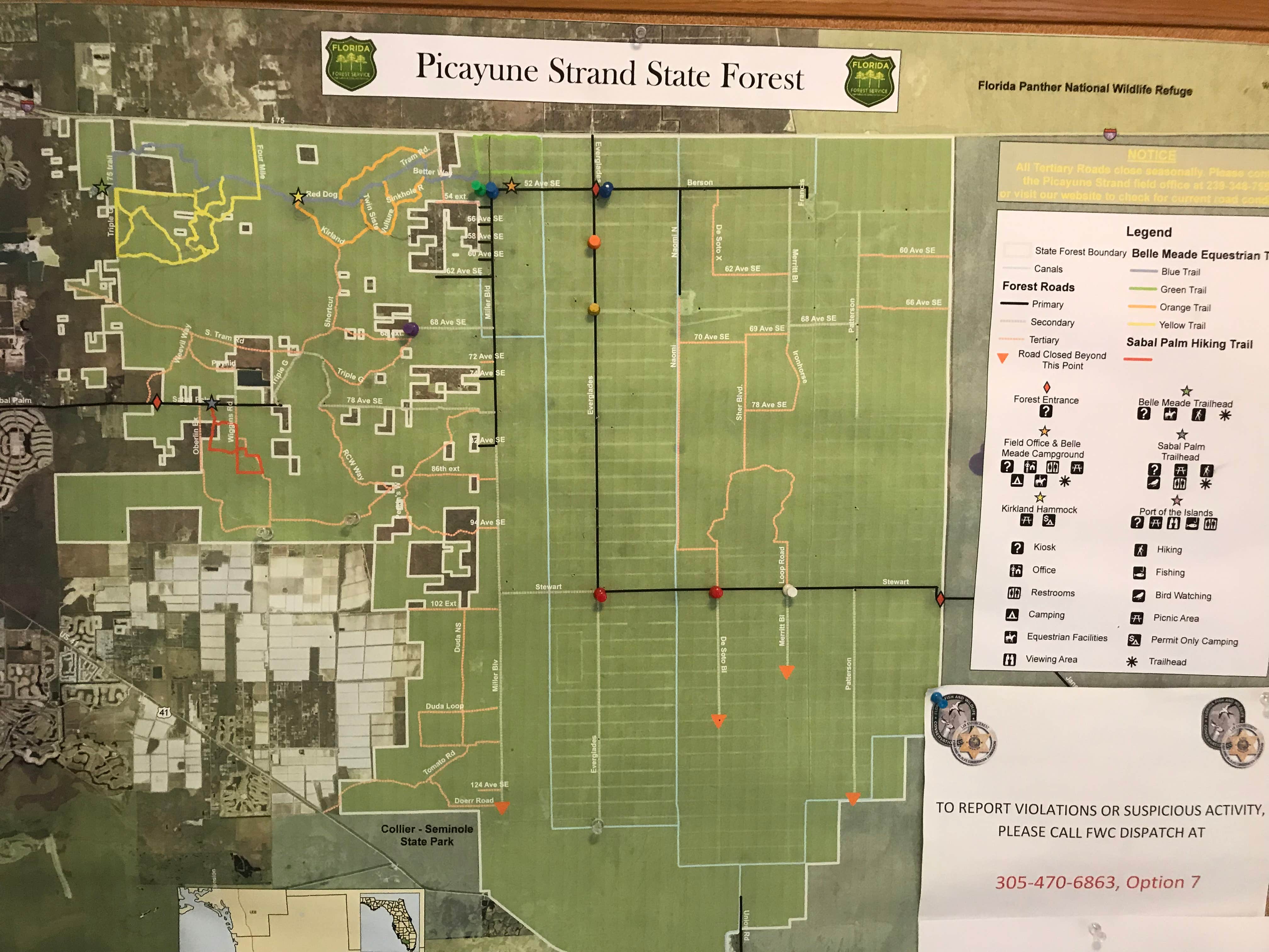 Camper-submitted photo at Horseshoe Primitive Campground in Picayune Strand State Forest near Everglades City, FL