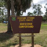 Review photo of Horseshoe Primitive Campground in Picayune Strand State Forest by Dave V., May 28, 2019