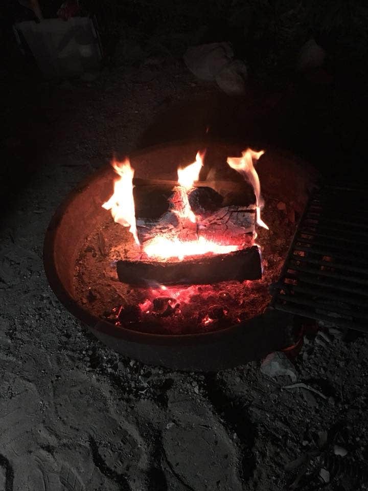 Camper-submitted photo at Cottonwood Cove Resort RV Park — Lake Mead National Recreation Area near Jean, NV