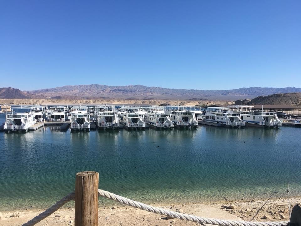 Camper submitted image from Cottonwood Cove Resort RV Park — Lake Mead National Recreation Area - 5