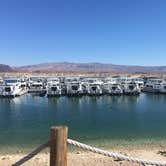 Review photo of Cottonwood Cove Resort RV Park — Lake Mead National Recreation Area by Larry  L., May 28, 2019